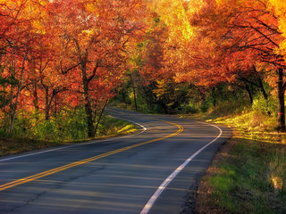 Fototapeta premium Bend in the Fall Road