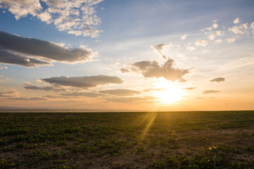 Green field and beautiful sunset. Early spring