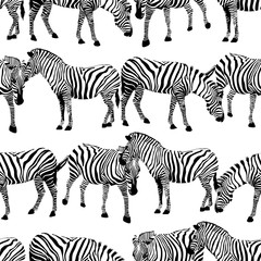 Fototapeta na wymiar Zebra seamless pattern. Wild animal texture. Striped black and white. design trendy fabric texture, illustration.