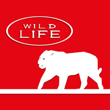 Tiger on a red background with the inscription "wild life". Vector illustration.