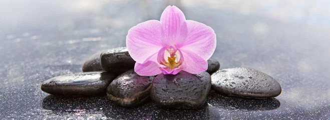 Foto auf Leinwand Einzelne Orchideenblüte und schwarze Steine. © Swetlana Wall