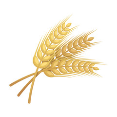 Sprigs of wheat. Plant for brewing beer. Pub single icon in cartoon style vector symbol stock illustration.