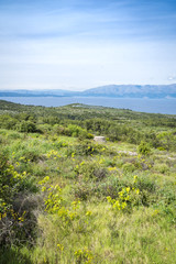 Fototapeta na wymiar Landscape from Hvar island, Croatia