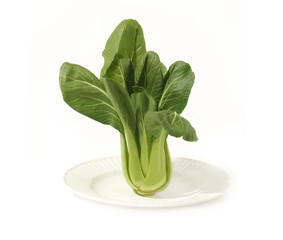 Baby Bok Choy on Plate