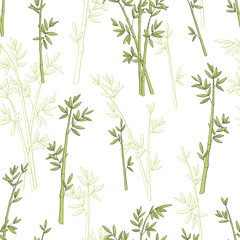 Obraz premium Bamboo plant graphic green color seamless pattern sketch illustration vector