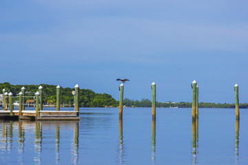 Bay dock