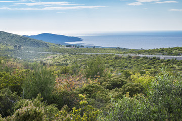 Landscape from Hvar island, Croatia