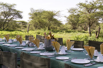 Elegant safari breakfast , Serengeti