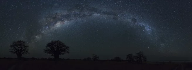 Foto op Canvas Full Milkyway at Baines Baobab's © hannesthirion