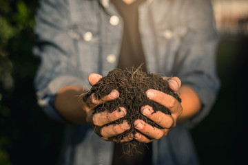 Hand holding soil,Hand dirty with soil
