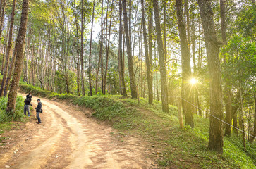 Fototapeta premium group of photographer travel and take a photo on slope of dirt r