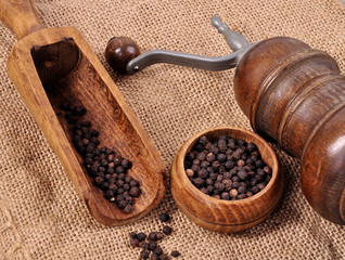 Mill for grinding pepper with a spatula on a wooden background