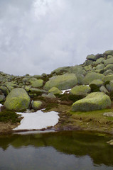 The pozzines of coscione