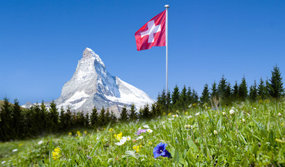 Matterhorn mit Bergwiese