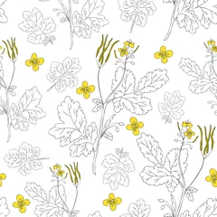 Abwaschbare Fototapete Celandine flower hand drawn graphic vector botanical illustration, seamless floral pattern, ink sketch isolated on white background, medical plant, line art for card, natural medicine, design cosmetic © m_e_l