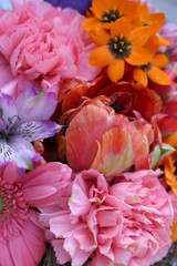 colourful Flowers, pink, orange and purple
