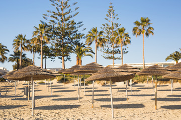 Decorative umbrellas made of palm branches on the background of the beach
