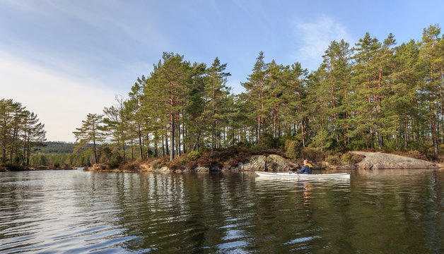 Adult senior man paddling Norwegian river in white kayak in Nidelva, Norway