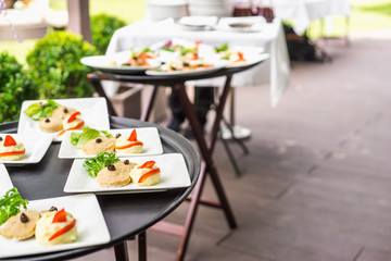 Plates with vegetable mix, food snacks on an event party, wedding, birthday or dinner