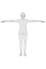 Mensch Frau 3d Rendering Drahtgitter