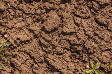Dry cracked soil. background