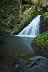 Naklejka premium Waterfall in the green forest