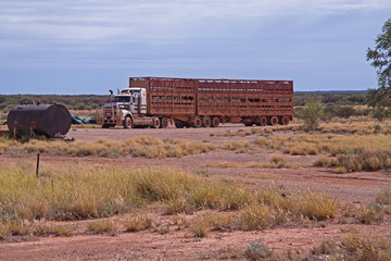 Road Train