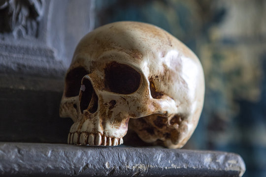Skull on a Mantelpiece