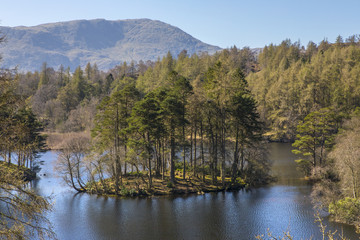 Tarn Hows in the Lake District