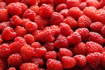 Ripe and sweet red raspberries background