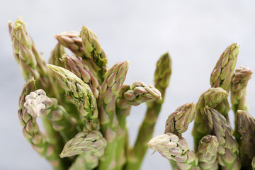 Green asparagus on the grey background