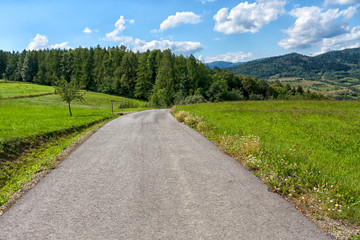 Road and meadow