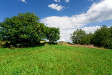 Obraz premium Glade under the blue sky.