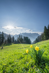 Frühling in der Natur