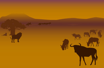 Fototapeta na wymiar Silhouettes of herd of antelopes and lions in savanna
