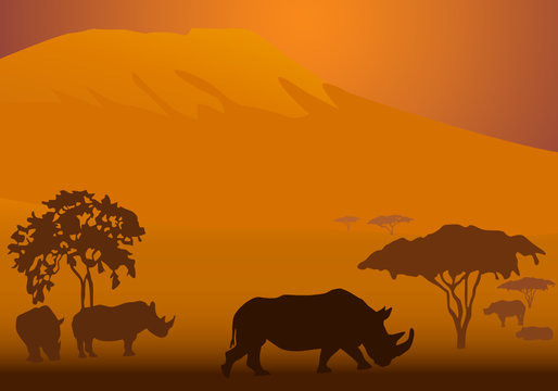 Silhouettes of rhinoceroses in national park of Kenya