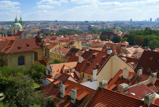 Prague. A city landscape with a roofs