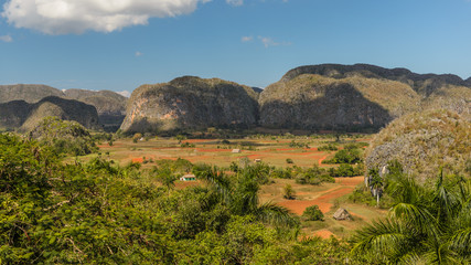 View on the Vinales valley in which the tobacco plant from which he is produced is being planted best in the world cigars Cuba Pinar del Rio province