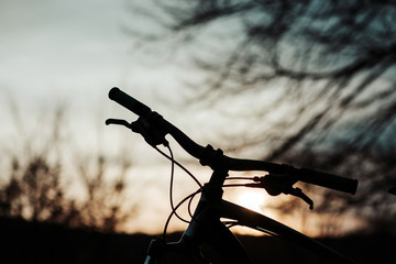 Bike outside the city, recreational healthy sport concept. Bike in the forest, at sunset.