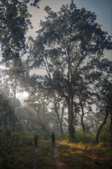 Chitwan National Park