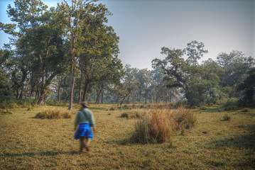 Chitwan National Park