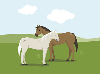 Two horses standing in the meadow vector cartoon illustration