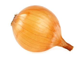 One yellow onion isolated on a white background