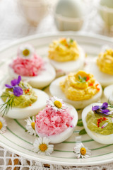 Obraz na płótnie Canvas Deviled eggs with various fillings decorated with fresh herbs and edible flowers