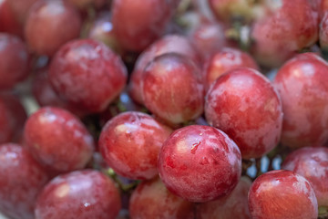 Close up of fresh red ripe grape berries with water drops, natural background photography