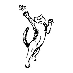 Cat catches butterfly - graphic image vector illustration