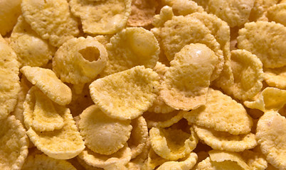 cornflakes background texture