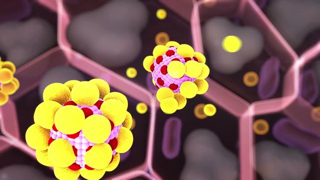 field of fat cells, High quality 3d render of fat cells, cholesterol in a cells, structure of the molecule, receptors on the cells surface, organelle and leukocyte, hormones and human cells