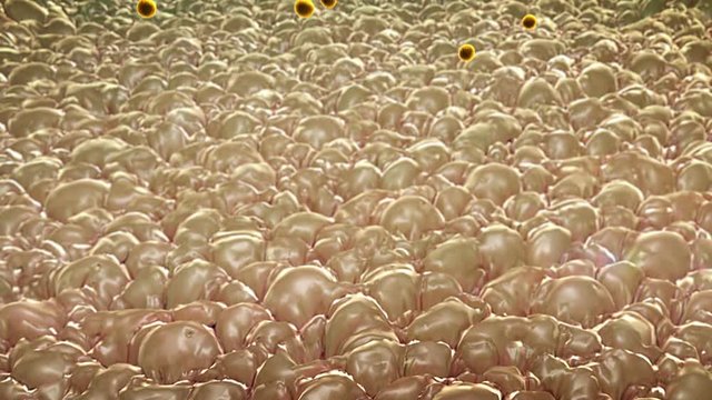 antibodies and Macrophage, field of fat cells, High quality 3d render of antibodies, cholesterol in a cells, field of cells
