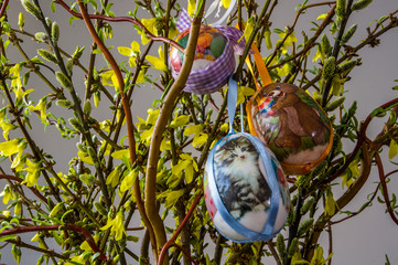 Świąteczna dekoracja Wielkanocna z drzewka i pisanek, wierzba © Krzysztof Matloch
